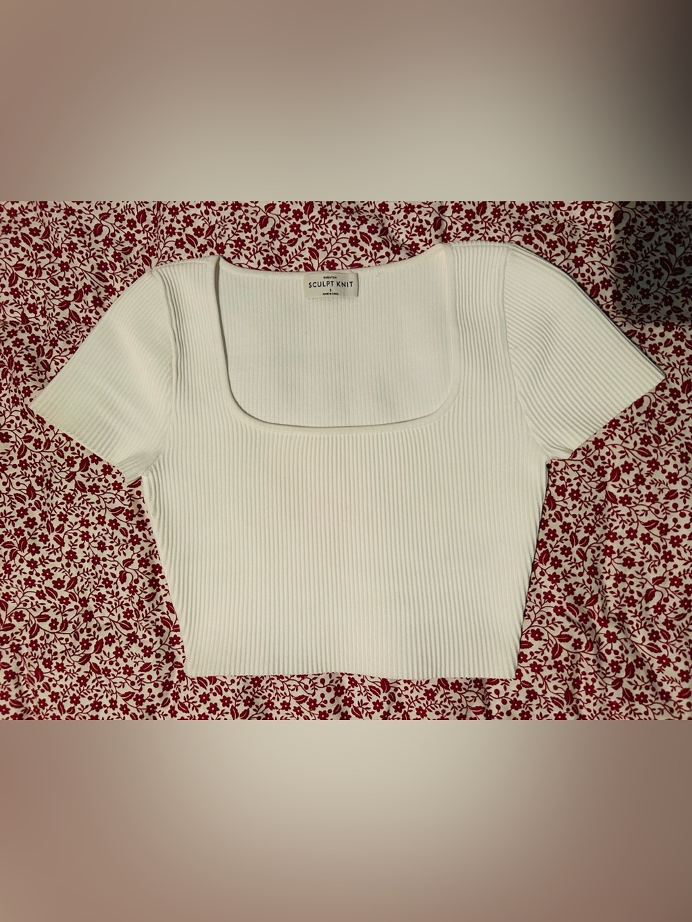 Aritzia Crop Top